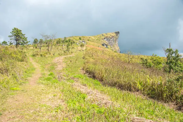 Chiangrai, Tayland 'daki Phu Chi Fa Dağı manzarası.
