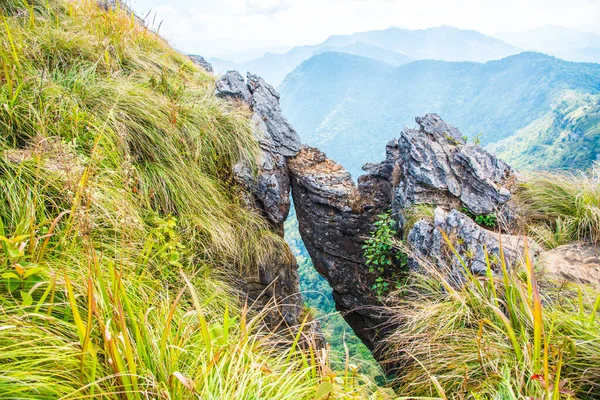 Chiangrai, Tayland 'daki Phu Chi Fa Dağı manzarası.