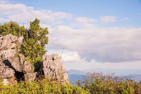 Tayland 'ın Chiangrai ilindeki Doi Pha Tang Dağı manzarası.