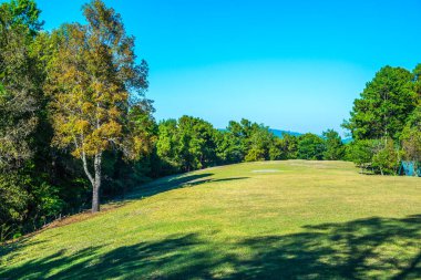 Tayland 'da, dağda çimler..