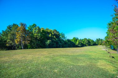 Tayland 'da, dağda çimler..