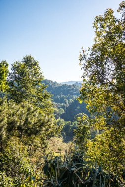 Doi Inthanon Ulusal Parkı, Tayland Dağ Manzarası.