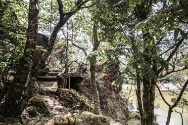 Tayland, Tayland 'da ormanlı küçük bir patika..