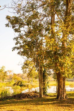 Tayland 'ın Chiangmai ilindeki Huay Tueng Tao gölünün manzara manzarası.