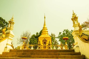Prathat Doi Wao Tapınağı, Tayland Altın Tapınağı.