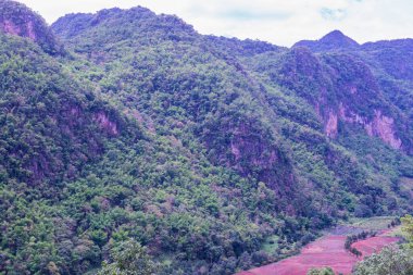 Tayland 'ın Chiangmai bölgesindeki dağ manzarası..