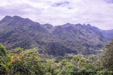 Tayland 'ın Chiangmai bölgesindeki dağ manzarası..