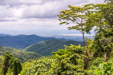 Kwan Phayao Gölü, Tayland.
