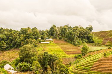 Mon Jam 'in Tayland' daki dağ manzarası.