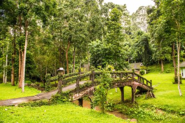 Tayland 'da küçük bir köprü..