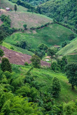 Tayland 'ın Phayao eyaletindeki dağ manzarası.