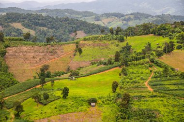 Tayland 'ın Phayao eyaletindeki dağ manzarası.