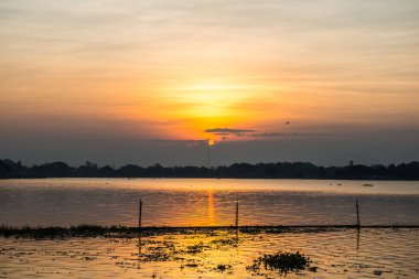 Sabah Kwan Phayao Gölü, Tayland.