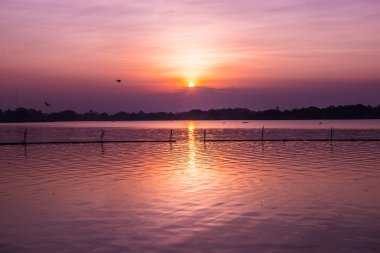 Sabah Kwan Phayao Gölü, Tayland.
