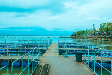 Tayland, Kwan Phayao Gölü 'ndeki balık kafesi..