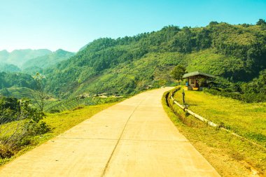 Manzara Görünümü Çay Çiftliği 2000, Tayland.