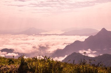 Chiangrai Eyaleti, Tayland 'daki Phu Chi Fa Manzara Noktasında Sis Denizi.