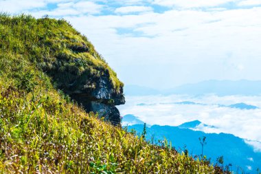 Chiangrai Eyaleti, Tayland 'daki Phu Chi Fa Manzara Noktasında Sis Denizi.