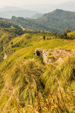 Tayland 'ın Chiangrai eyaletindeki Phu Chi Fa Manzarası' nda Dağ Manzarası.