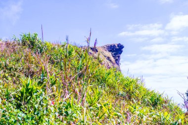 Chiangrai Eyaleti, Tayland 'da Phu Chi Fa.