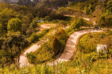 Chiangrai, Tayland 'da Doi Pha Tang yolu..