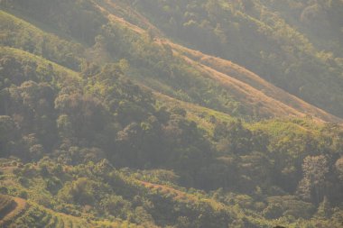 Tayland 'ın Chiangrai eyaletindeki Doi Pha Tang' da Dağ Manzarası.