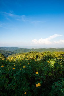 Kwan Phayao Gölü, Tayland.
