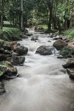 Su, Tayland 'ın Chiang Rai ilindeki Khunkorn şelalesinde akıyor..