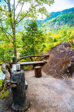 Tayland, ormandaki teras.