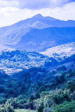 Tayland 'ın Chiangrai eyaletinde dağ manzarası.