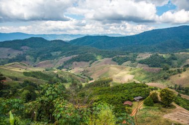 Tayland 'ın Chiangrai eyaletinde dağ manzarası.