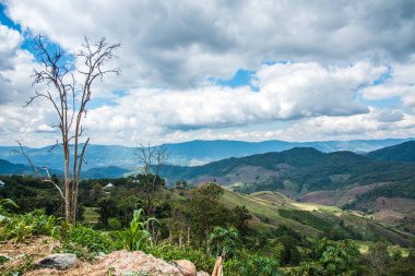 Tayland 'ın Chiangrai eyaletinde dağ manzarası.