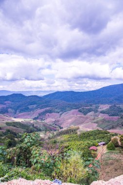 Tayland 'ın Chiangrai eyaletinde dağ manzarası.