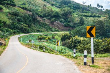 Phu Chi Pa yolu, Tayland.