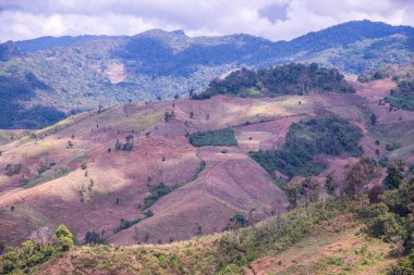 Tayland 'ın Chiangrai eyaletinde dağ manzarası.