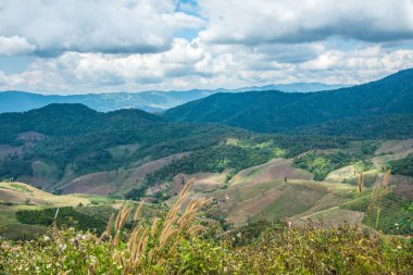 Tayland 'ın Chiangrai eyaletinde dağ manzarası.