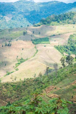 Tayland 'ın Chiangrai eyaletinde dağ manzarası.