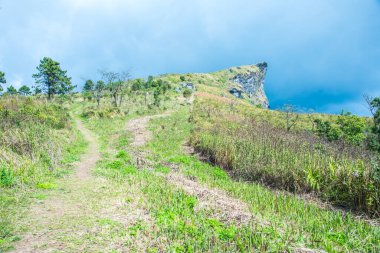 Chiangrai, Tayland 'daki Phu Chi Fa Dağı manzarası.