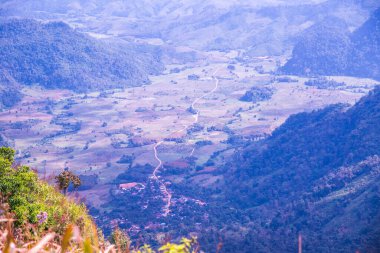 Chiangrai, Tayland 'da Phu Chi Fa' nın en iyi manzarası.