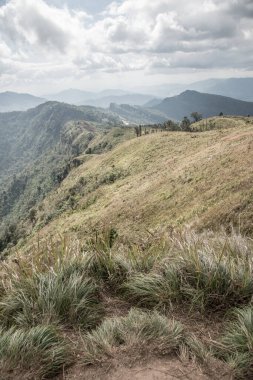 Chiangrai, Tayland 'daki Phu Chi Fa Dağı manzarası.