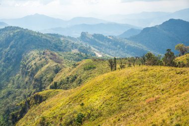 Chiangrai, Tayland 'daki Phu Chi Fa Dağı manzarası.
