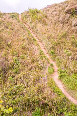 Phu Chi Fa, Tayland 'da dağda yürüyüş yolu.