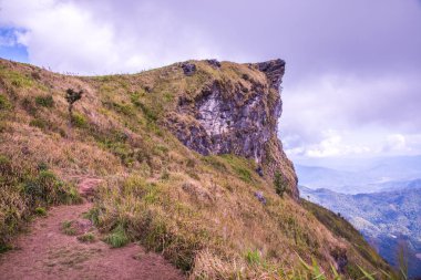 Chiangrai, Tayland 'daki Phu Chi Fa Dağı manzarası.
