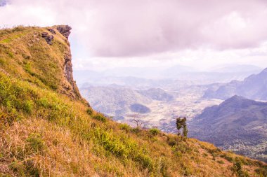 Chiangrai, Tayland 'daki Phu Chi Fa Dağı manzarası.