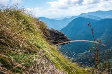 Chiangrai, Tayland 'daki Phu Chi Fa Dağı manzarası.