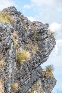 Chiangrai, Tayland 'daki Phu Chi Fa Dağı manzarası.