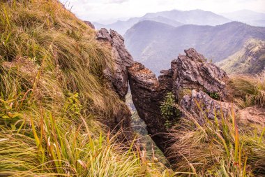 Chiangrai, Tayland 'daki Phu Chi Fa Dağı manzarası.