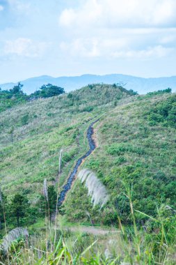 Chiangrai, Tayland 'daki Phu Chi Fa Dağı manzarası.