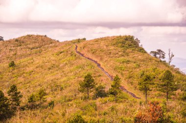 Chiangrai, Tayland 'daki Phu Chi Fa Dağı manzarası.