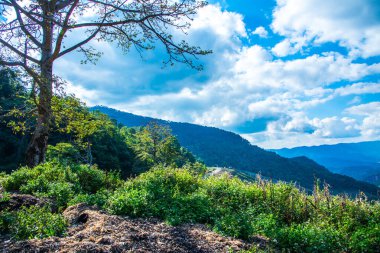 Tayland 'ın Chiangrai eyaletinde dağ manzarası.